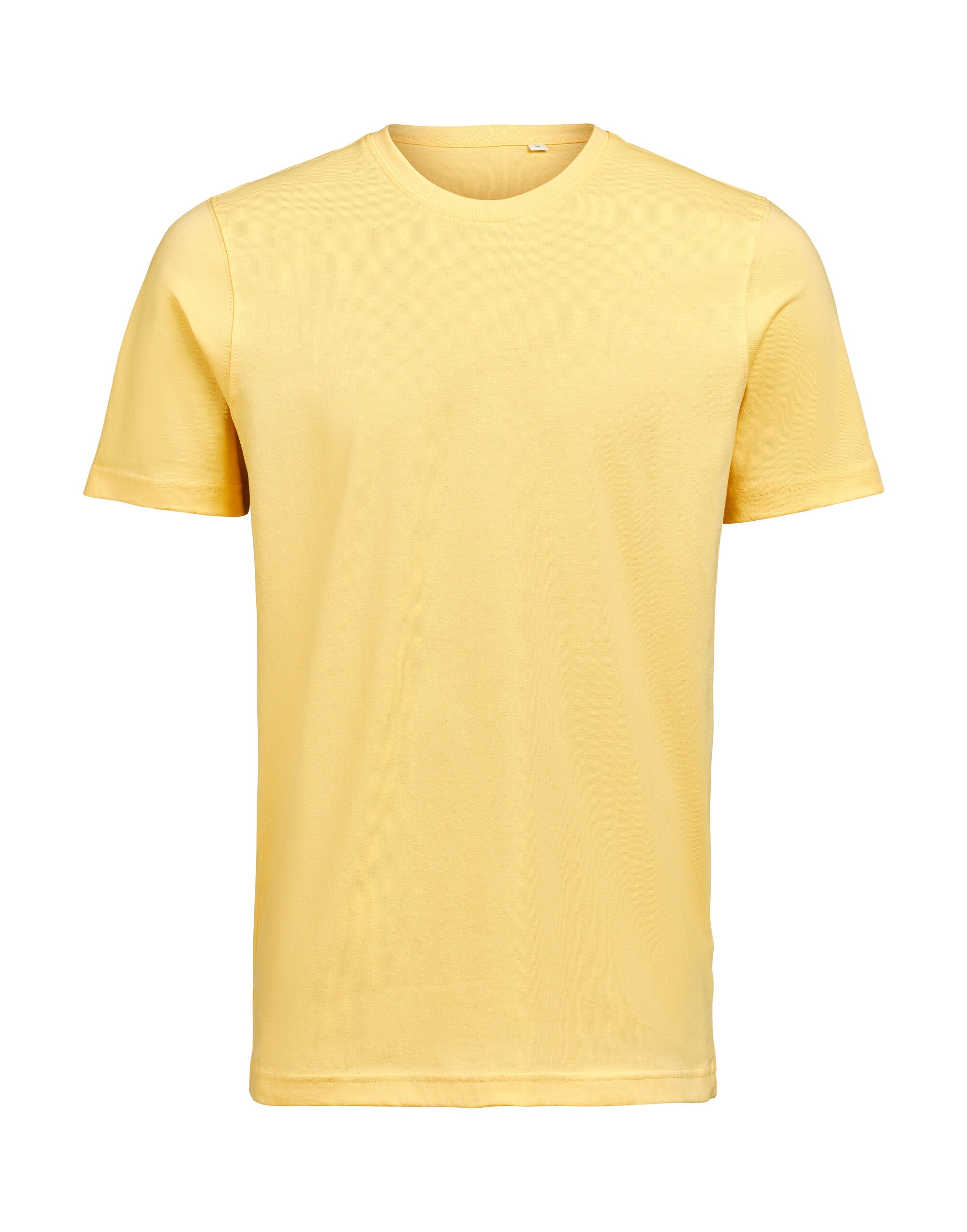 T-Shirt Regular Fit