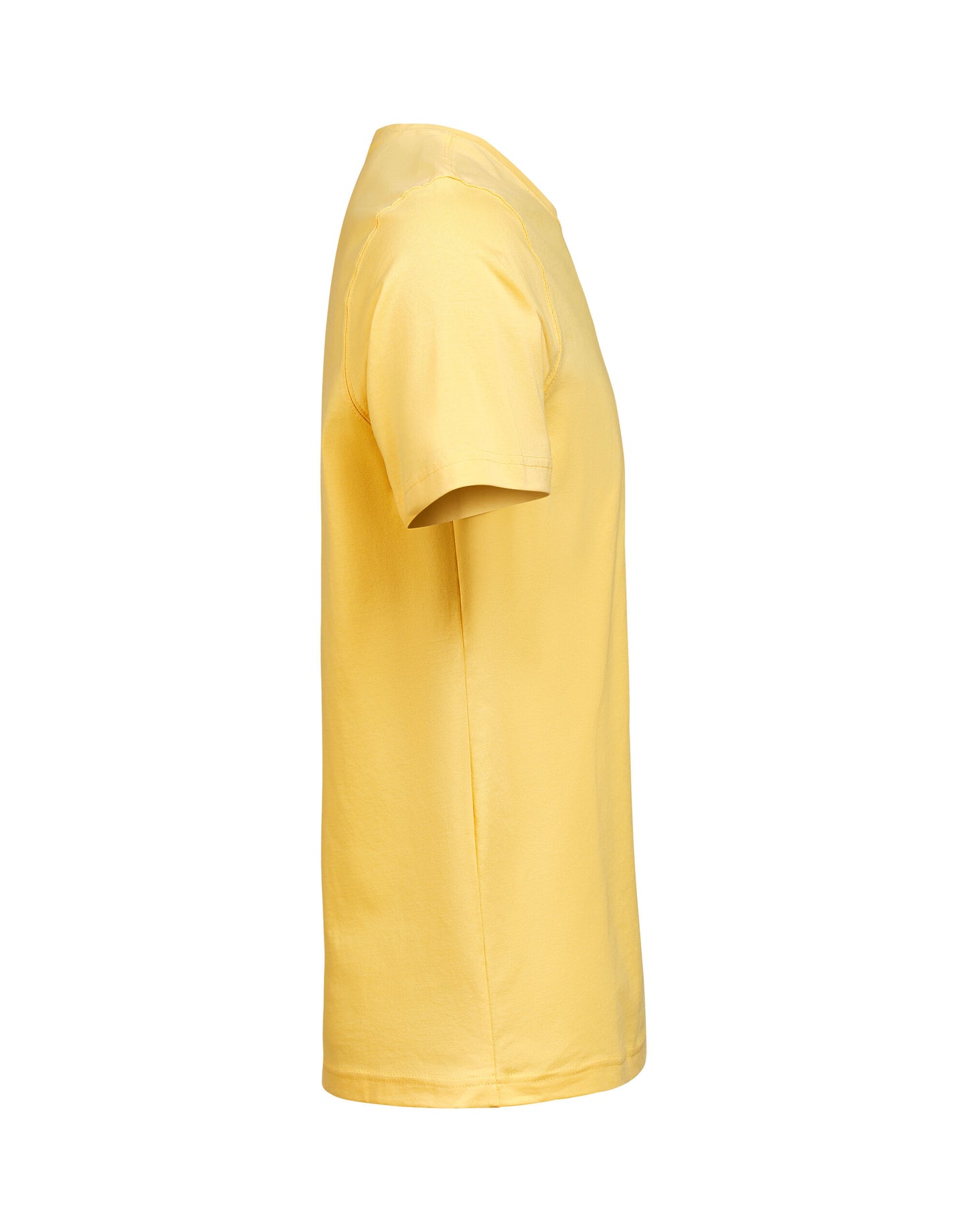 T-Shirt Regular Fit