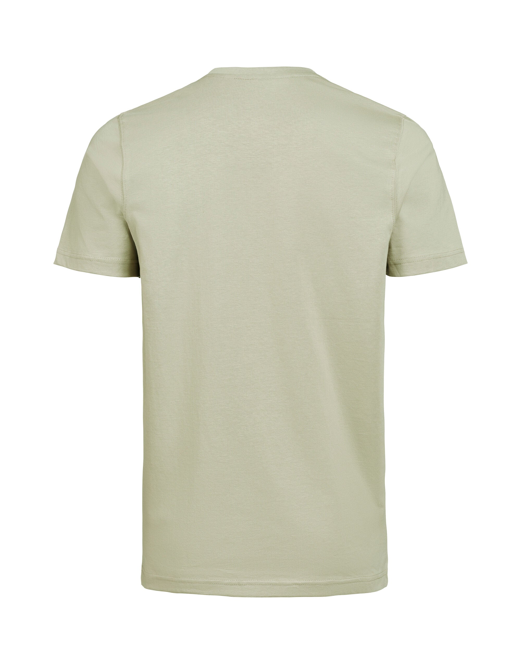 T-Shirt Regular Fit