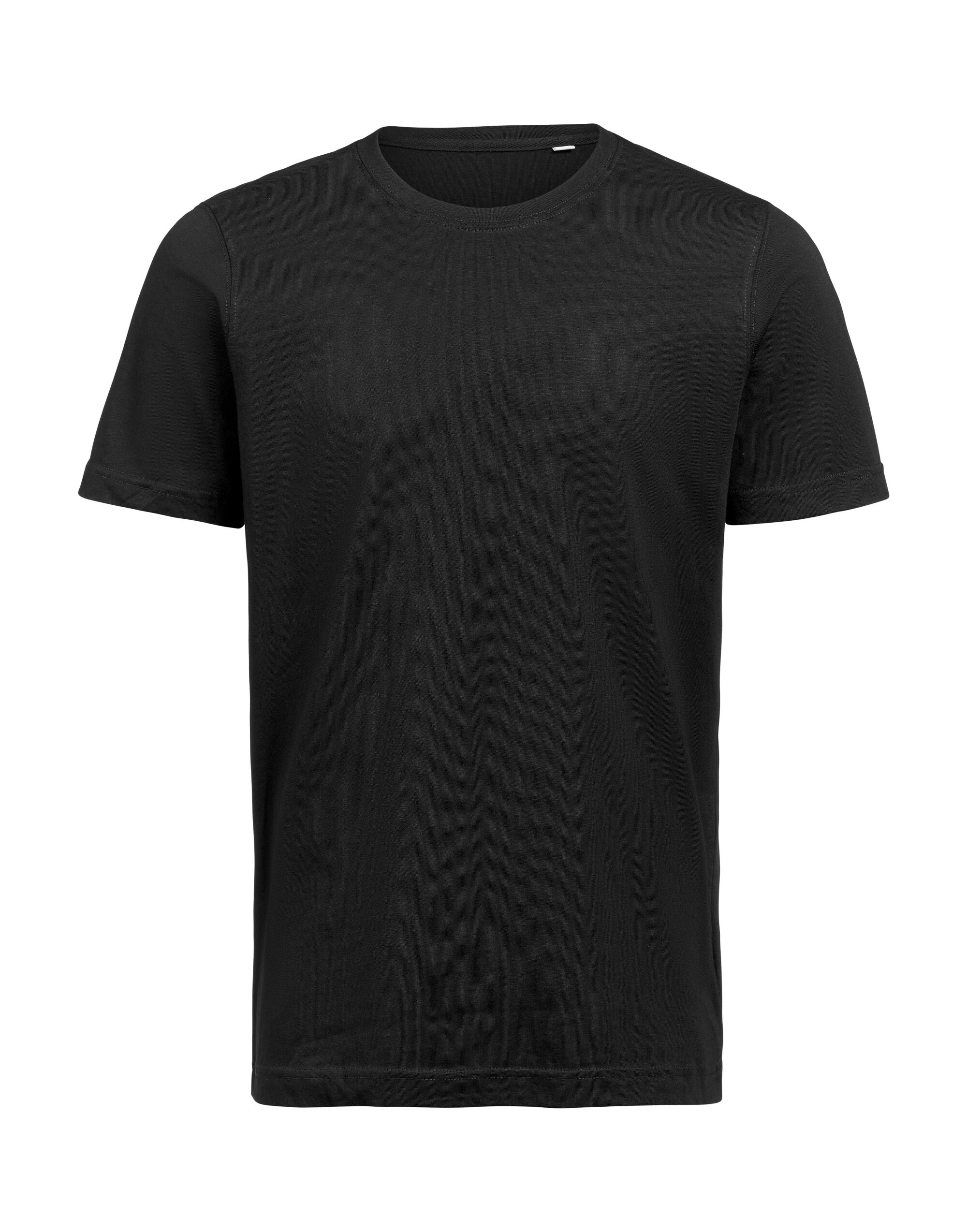 T-Shirt Regular Fit