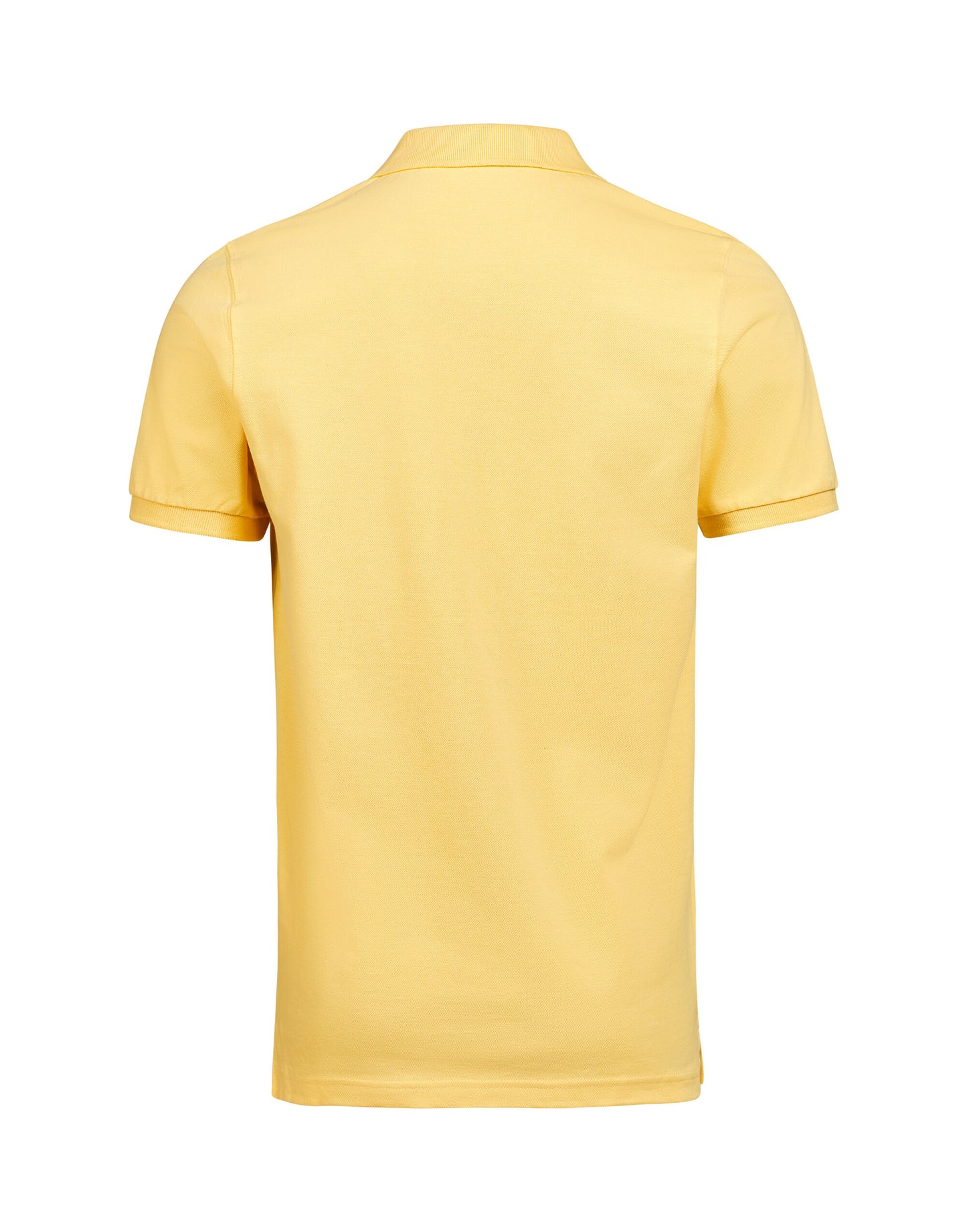 Polo Regular Fit