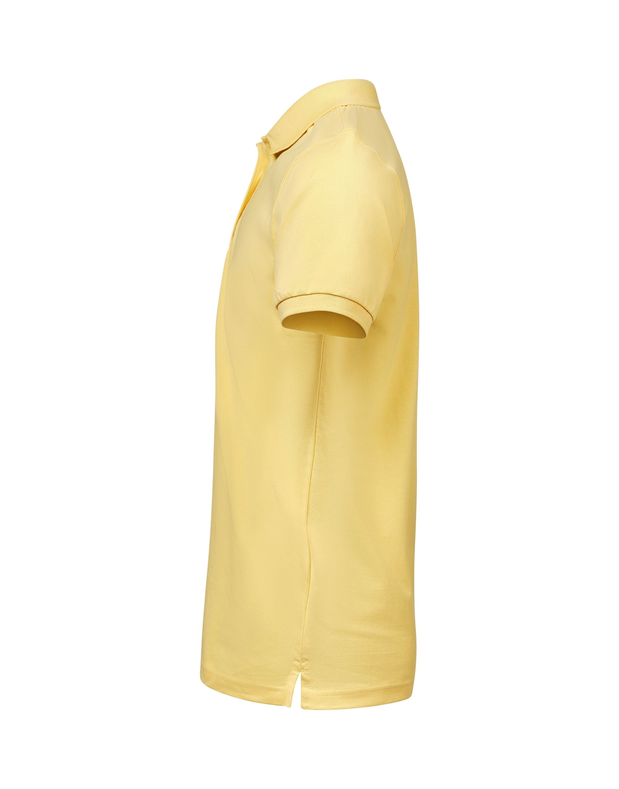 Polo Regular Fit