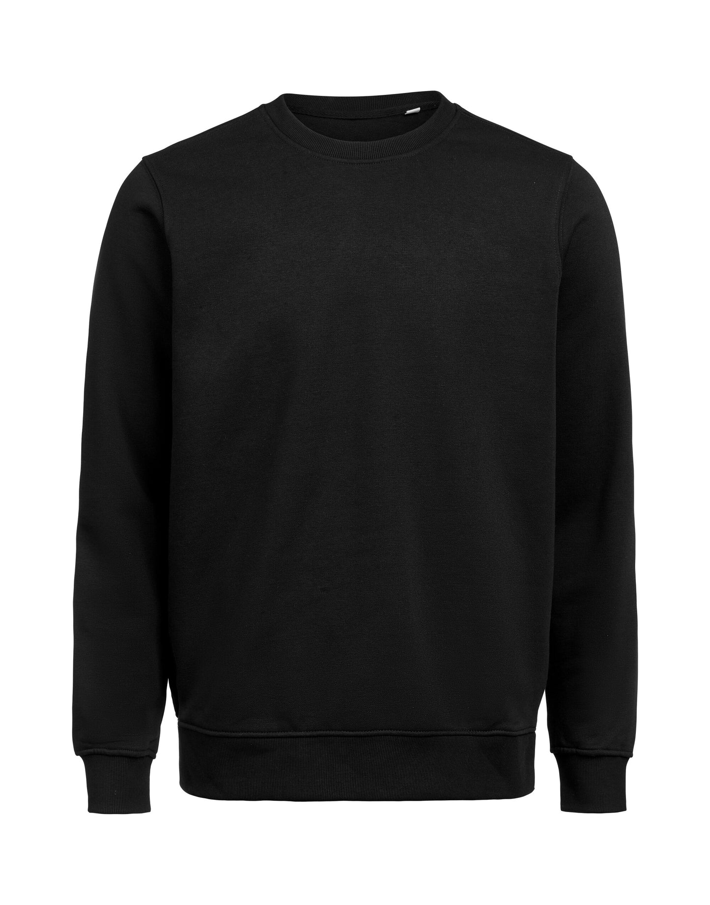 Crewneck Regular Fit