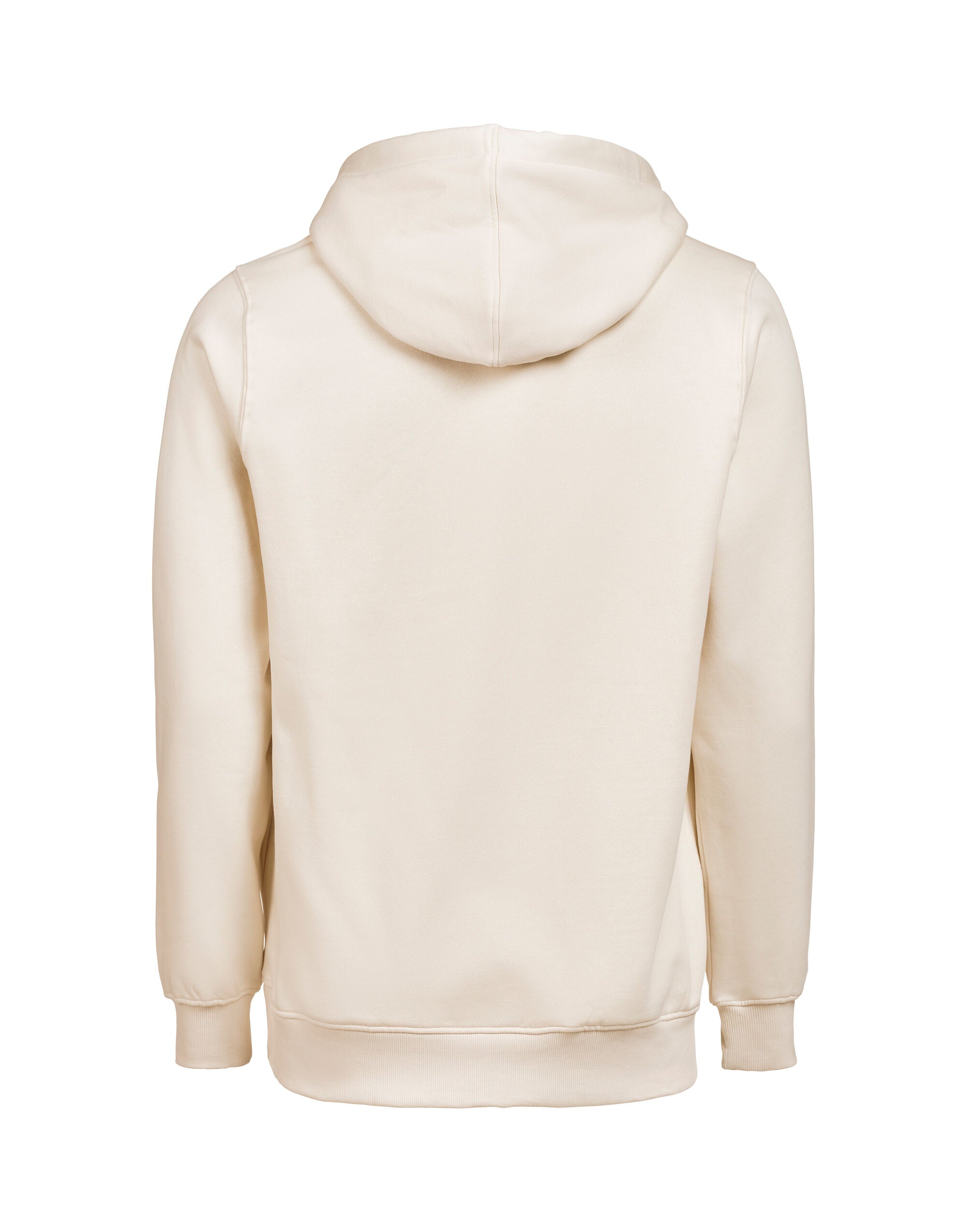 Hoodie Regular Fit