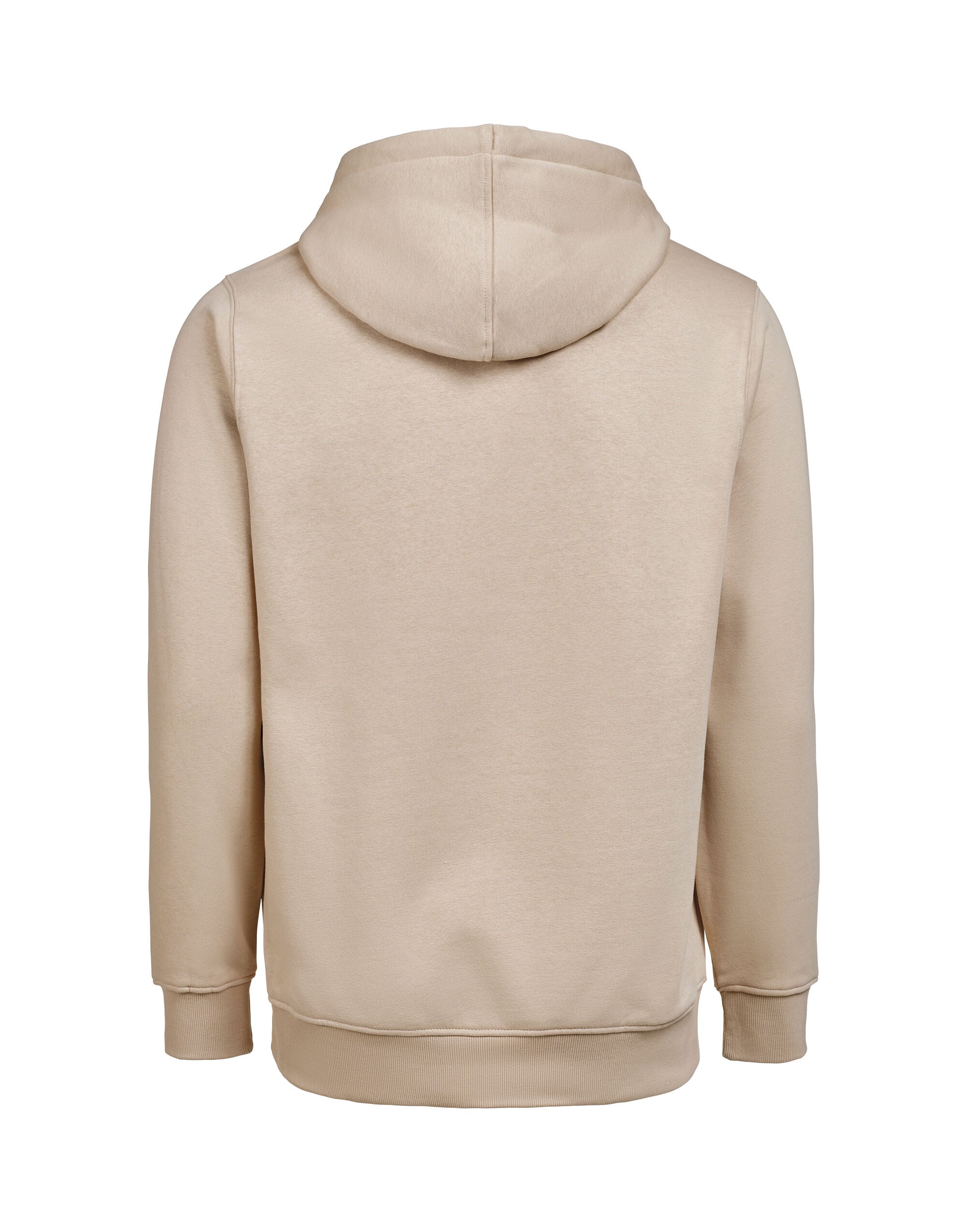 Hoodie Regular Fit
