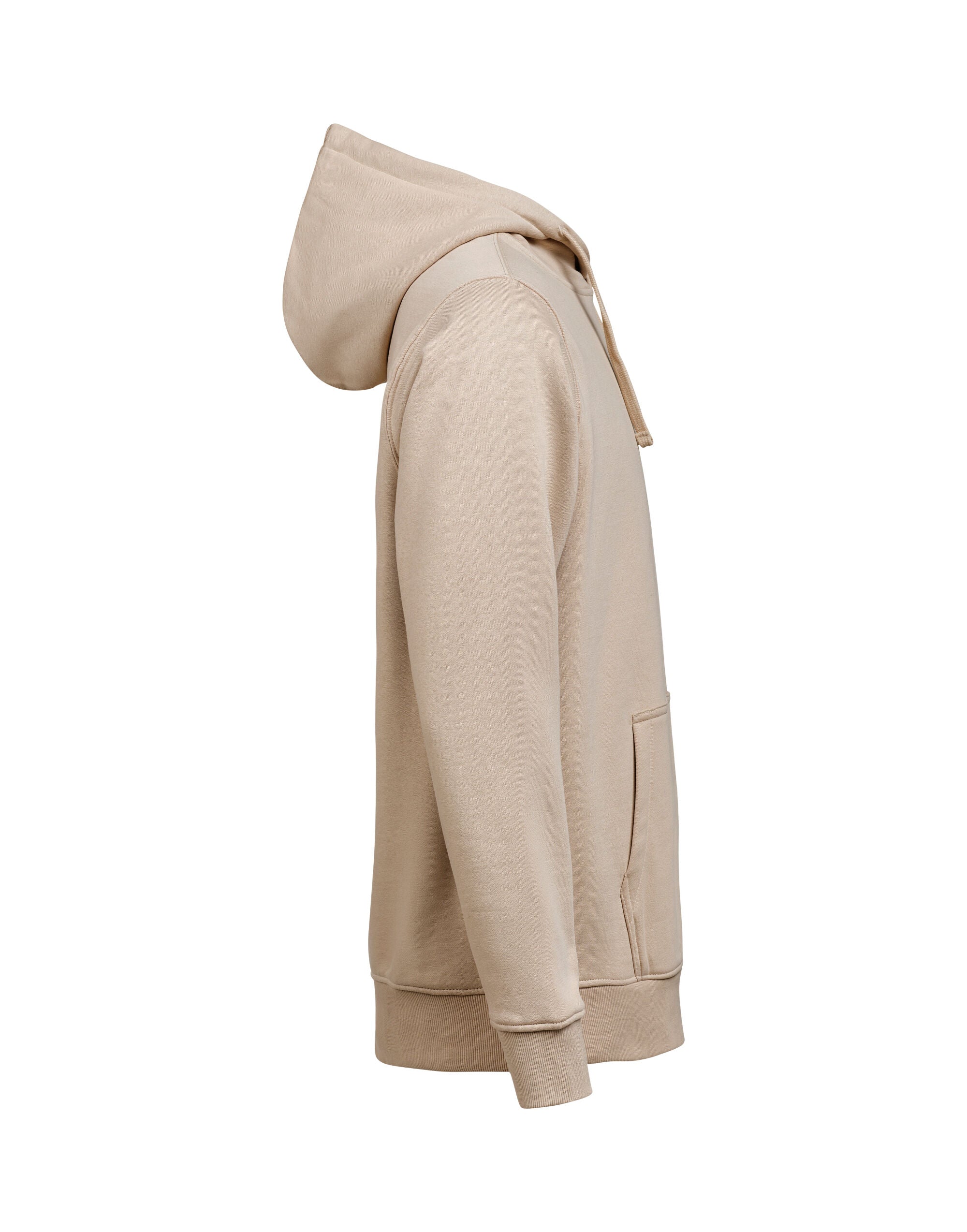Hoodie Regular Fit