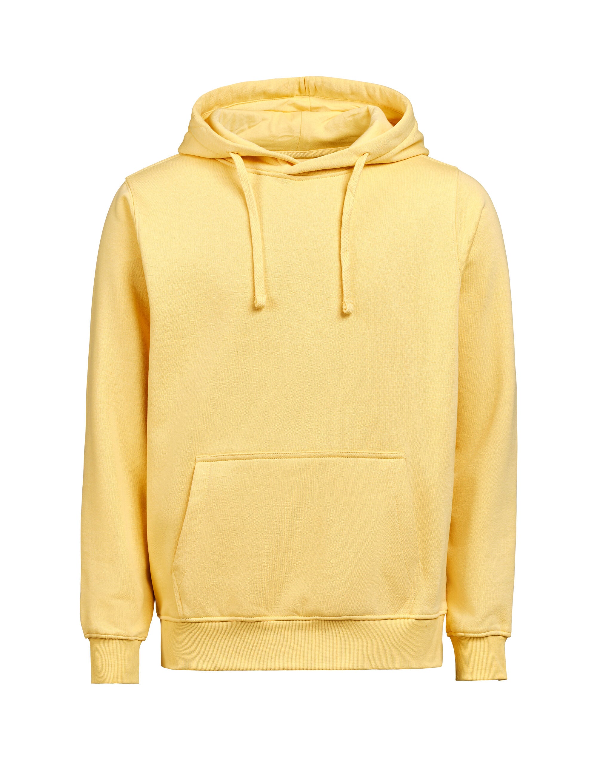 Hoodie Regular Fit