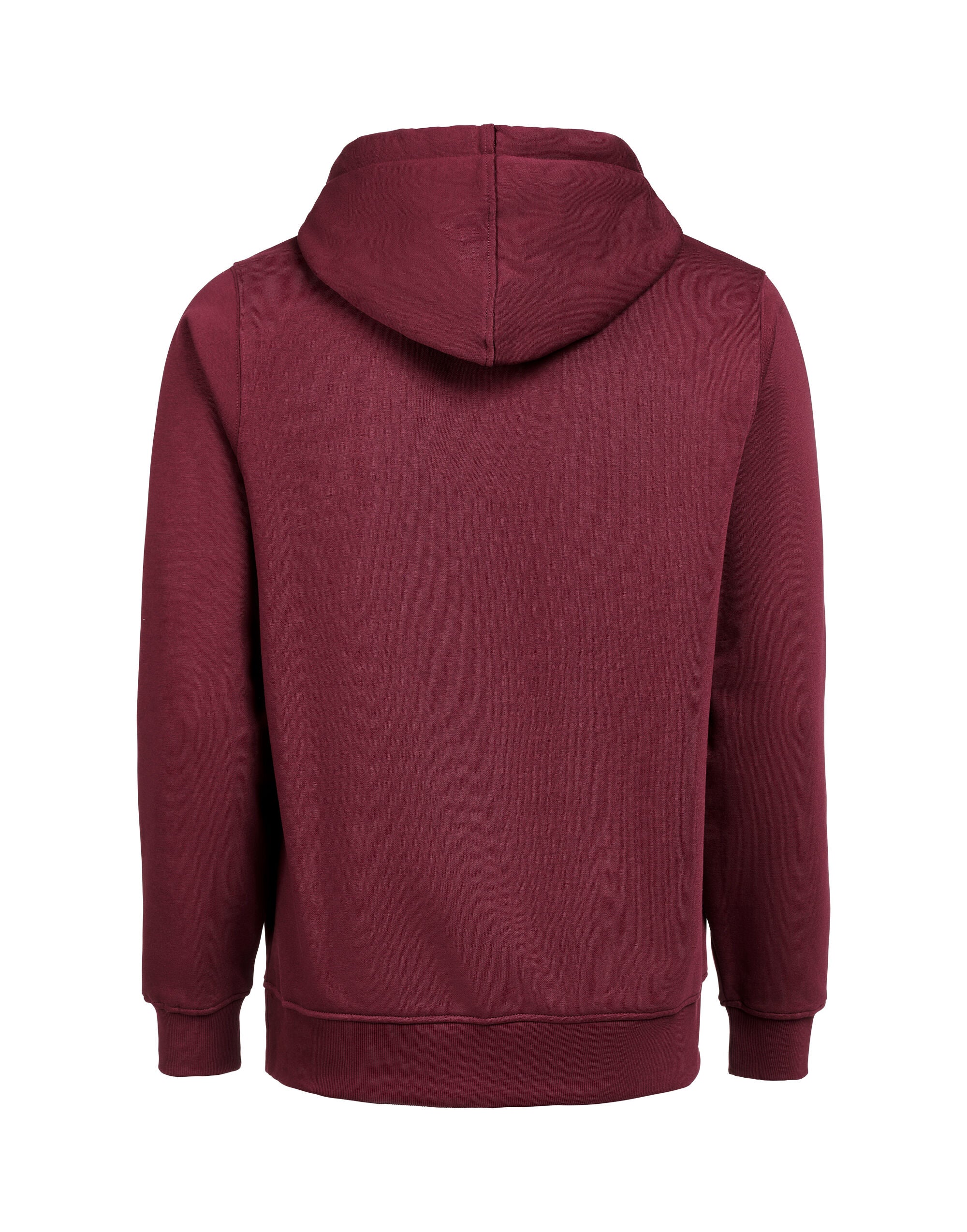 Hoodie Regular Fit