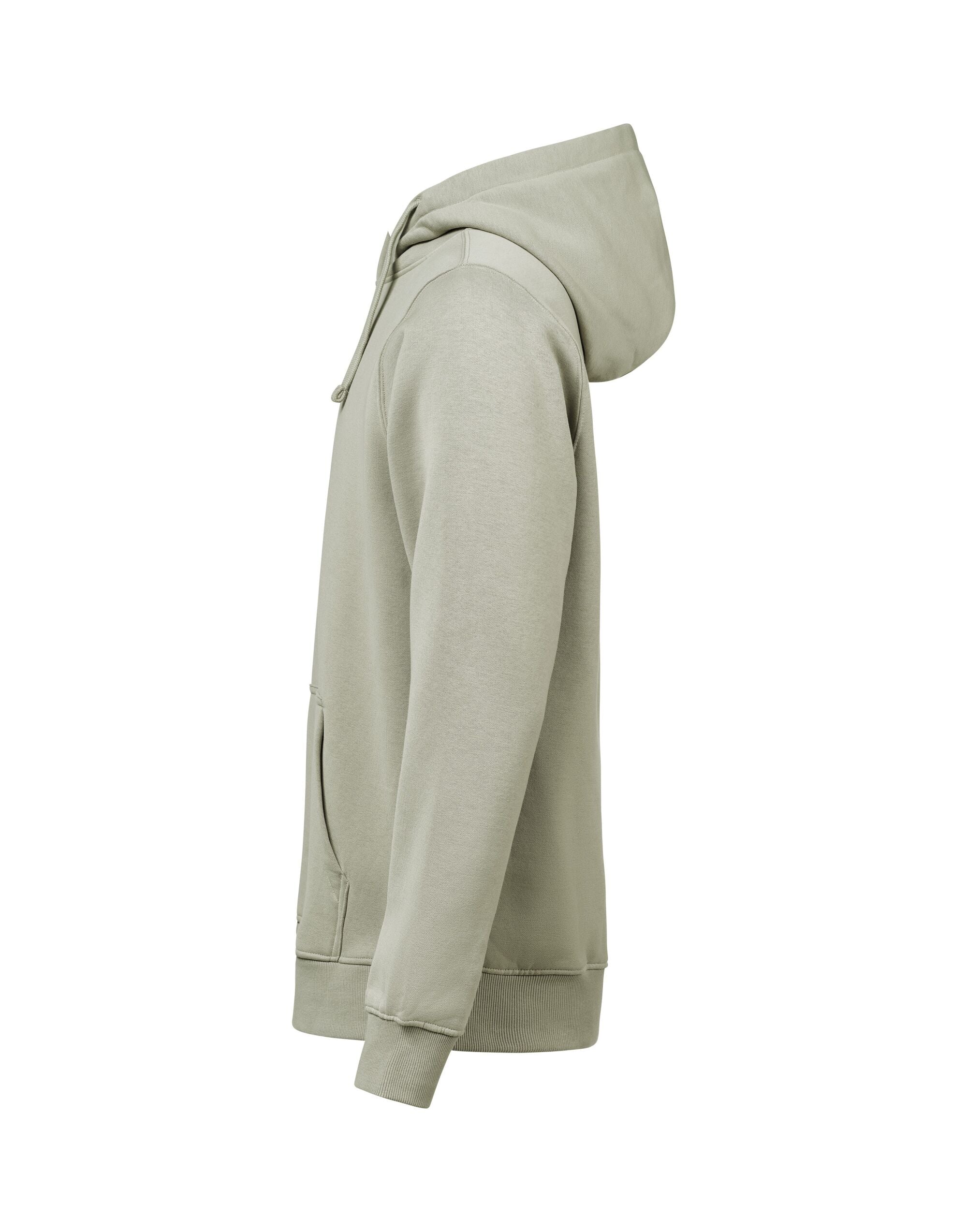 Hoodie Regular Fit