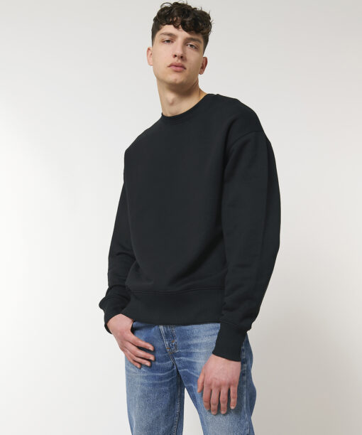 Radder Heavy unisex crewneck sweatshirt (STSU866)