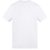 Arctic White